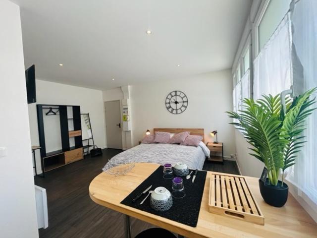 Appartement Lumineux 25m² Hyper-centre